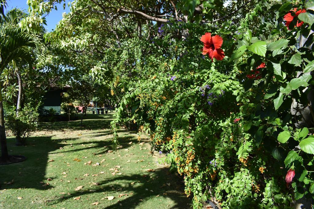 Nona Lani Cottages Kihei Exterior photo